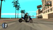 Pega Electric Bicycle